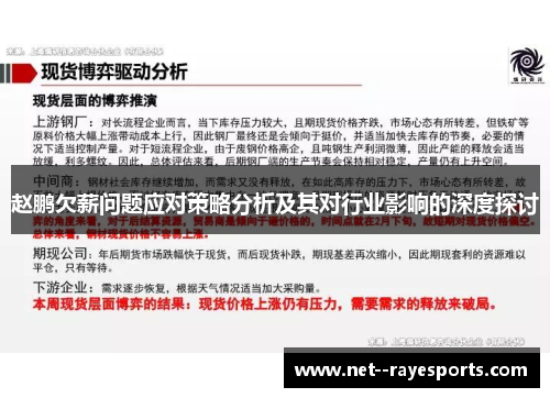 赵鹏欠薪问题应对策略分析及其对行业影响的深度探讨