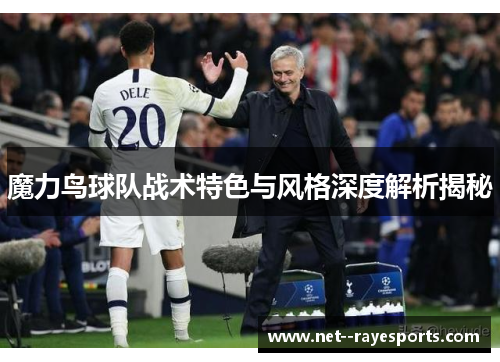 魔力鸟球队战术特色与风格深度解析揭秘