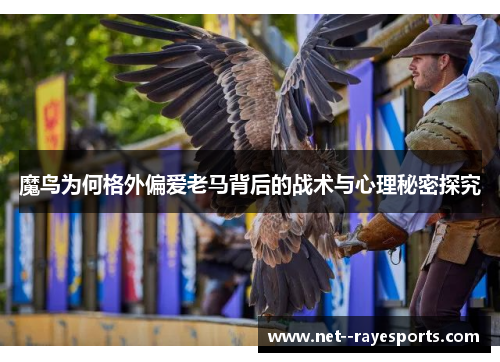 魔鸟为何格外偏爱老马背后的战术与心理秘密探究
