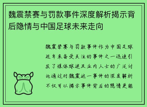 魏震禁赛与罚款事件深度解析揭示背后隐情与中国足球未来走向