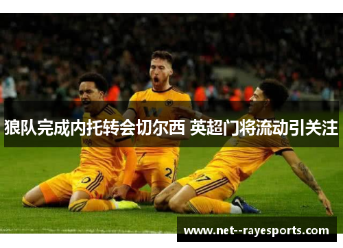 狼队完成内托转会切尔西 英超门将流动引关注