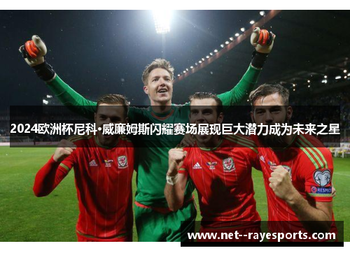 2024欧洲杯尼科·威廉姆斯闪耀赛场展现巨大潜力成为未来之星